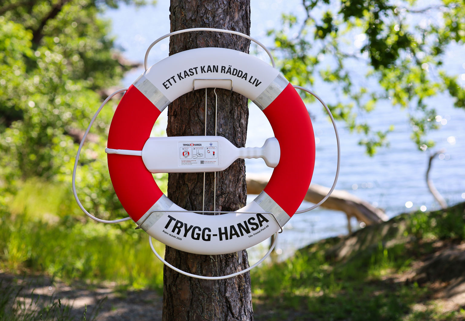Trygg-Hansas livboj hänger på ett träd nära vattnet i ett sommarlandskap