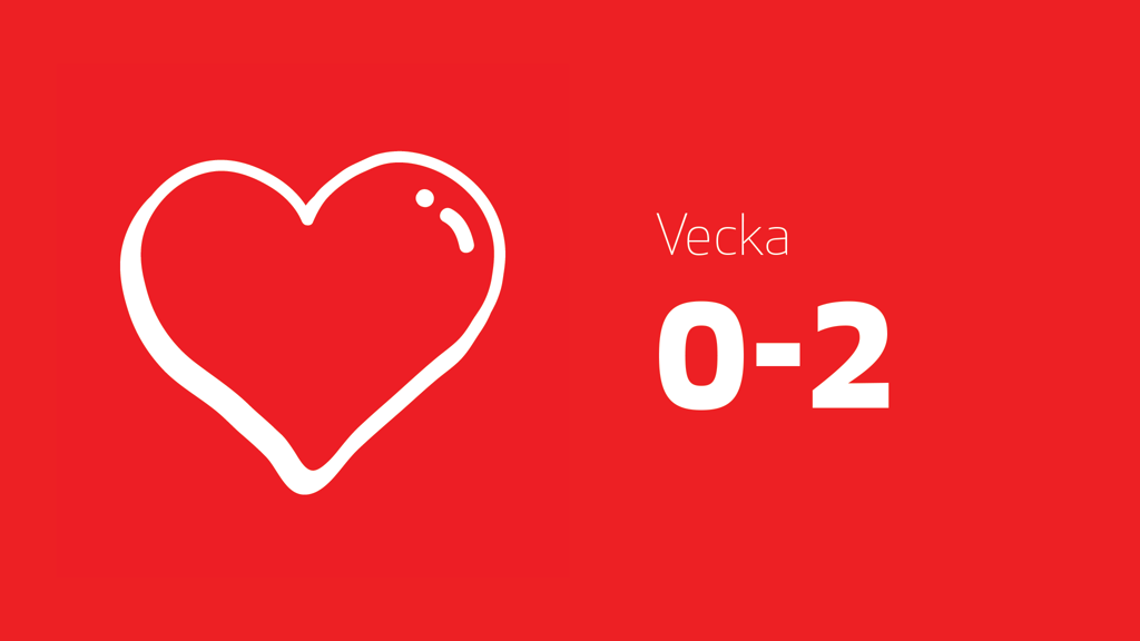 Ett rött hjärta och texten vecka 0-2