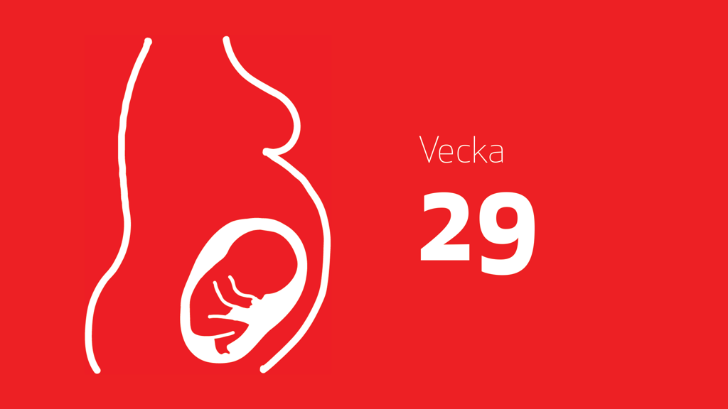 En tecknad bild på en bebis i magen och texten vecka 29