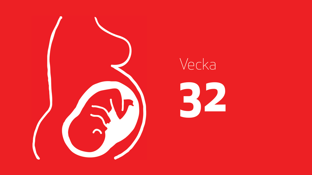 En tecknad bild på en bebis i magen och texten vecka 32