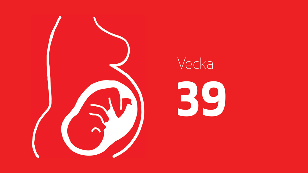 En tecknad bild på en bebis i magen och texten vecka 39