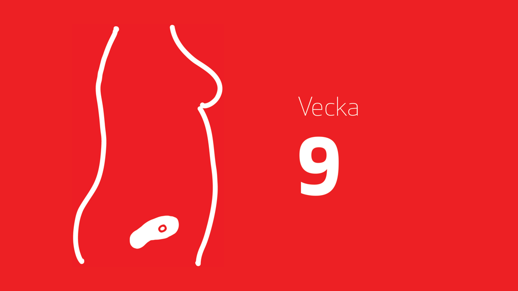 En tecknad bild på ett embryo i magen och texten vecka 9