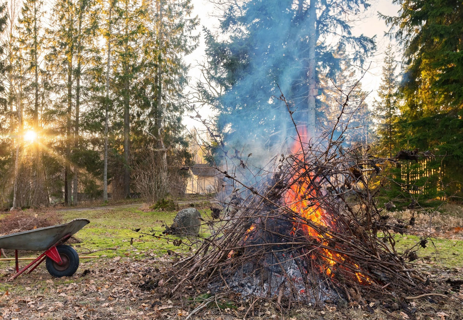 En brasa i en trädgård