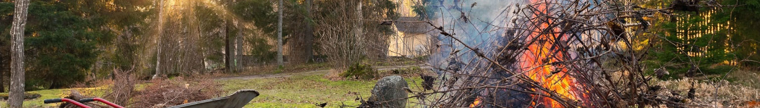 En brasa i en trädgård