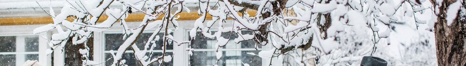 Kvinna fotar snögubbe på tomten