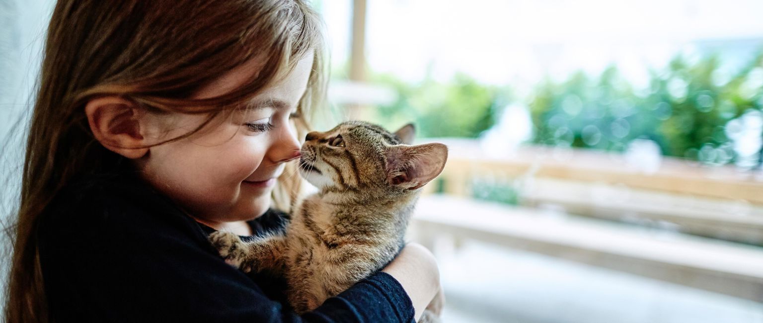 liten flicka kelar med kattunge