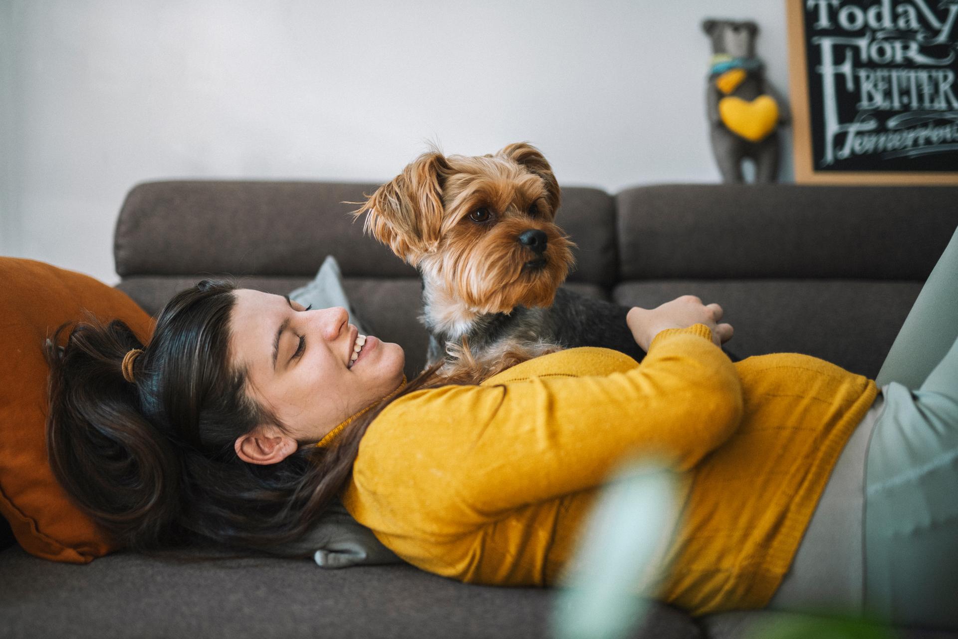 kvinna i soffan med en liten terrier