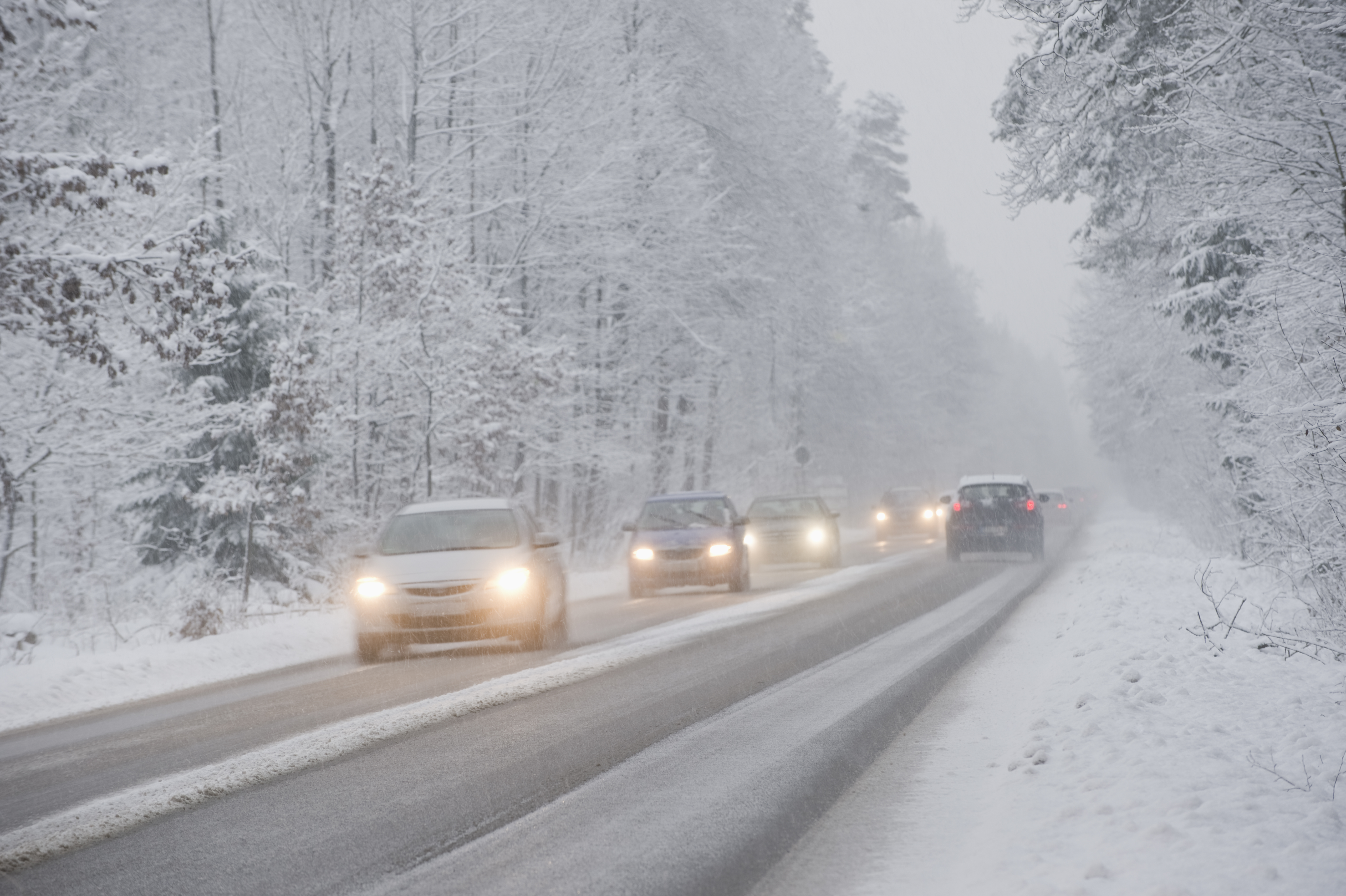 Trafikerad landsväg i snöigt och dimmigt landskap