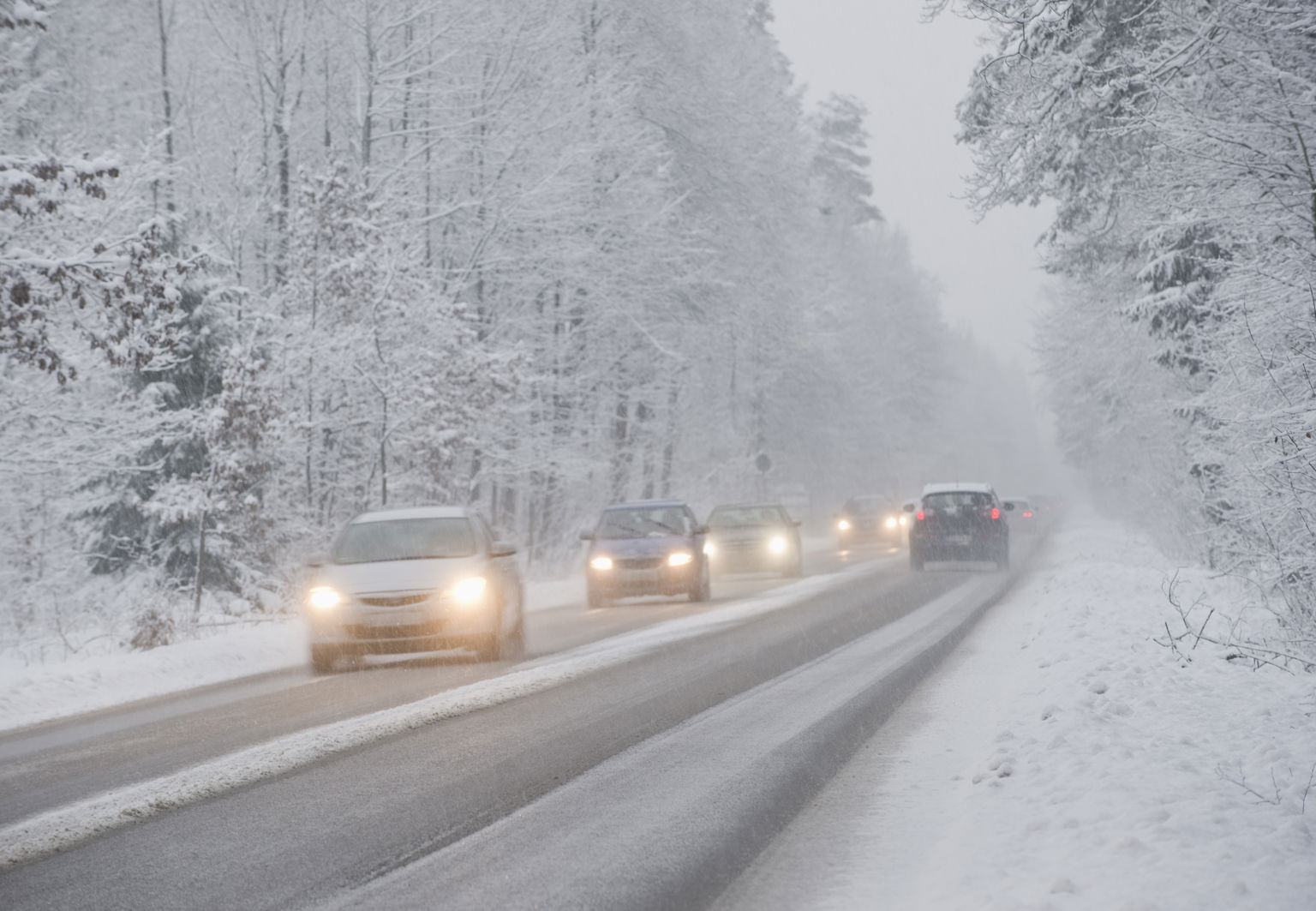 Trafikerad landsväg i snöigt och dimmigt landskap