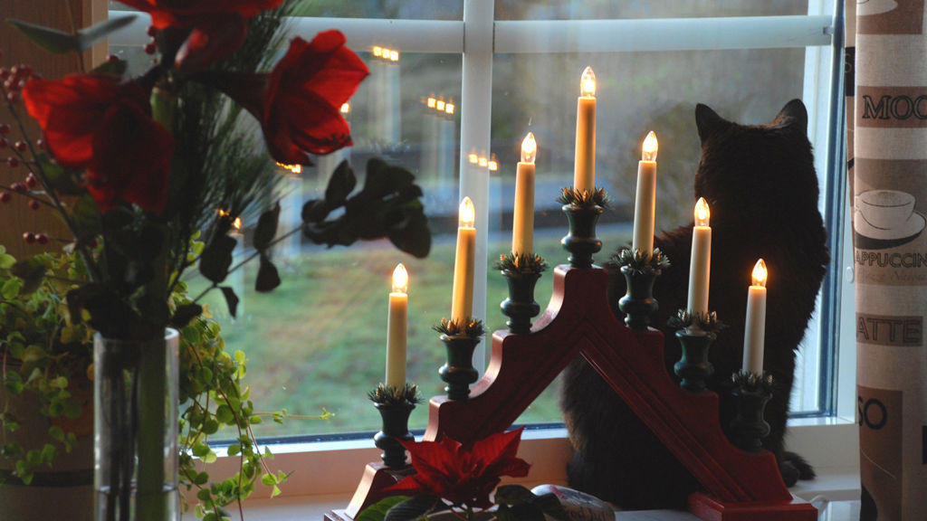 En traditionell adventsljusstake i fönstret