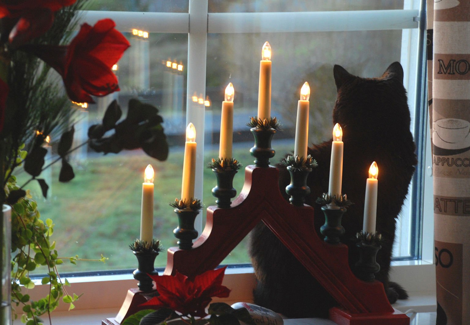 En traditionell adventsljusstake i fönstret