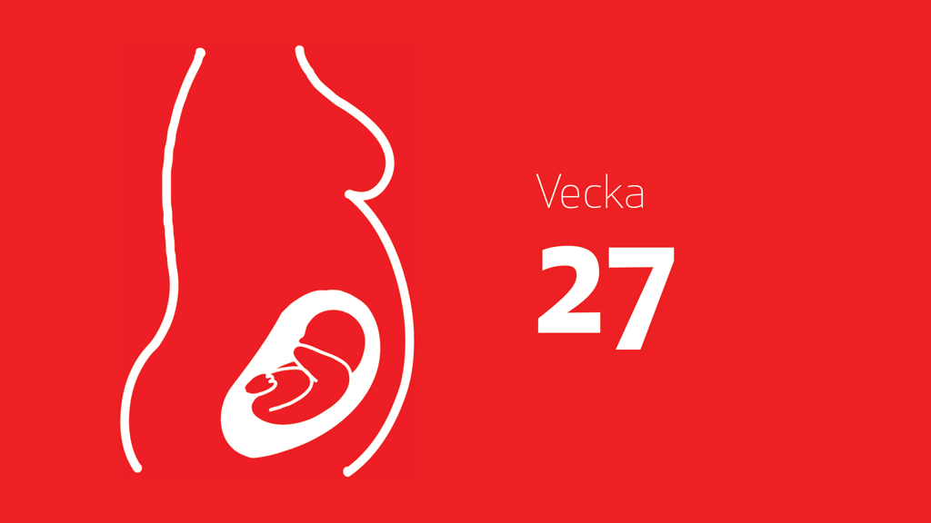 En tecknad bild på en bebis i magen och texten vecka 27