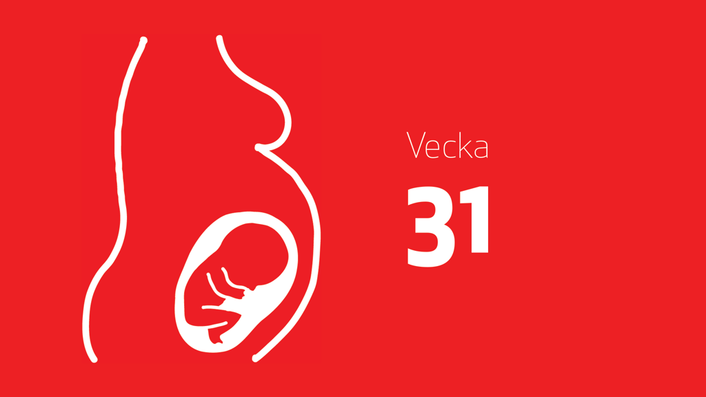 En tecknad bild på en bebis i magen och texten vecka 31