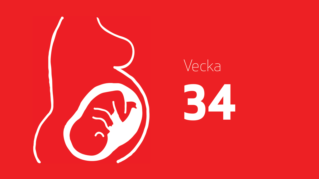 En tecknad bild på en bebis i magen och texten vecka 34