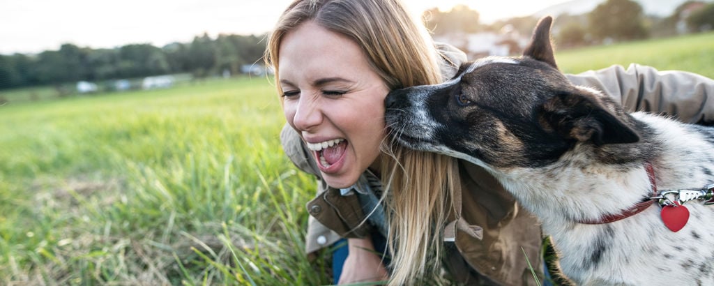 Hund nosar matte på kunden och hon skrattar