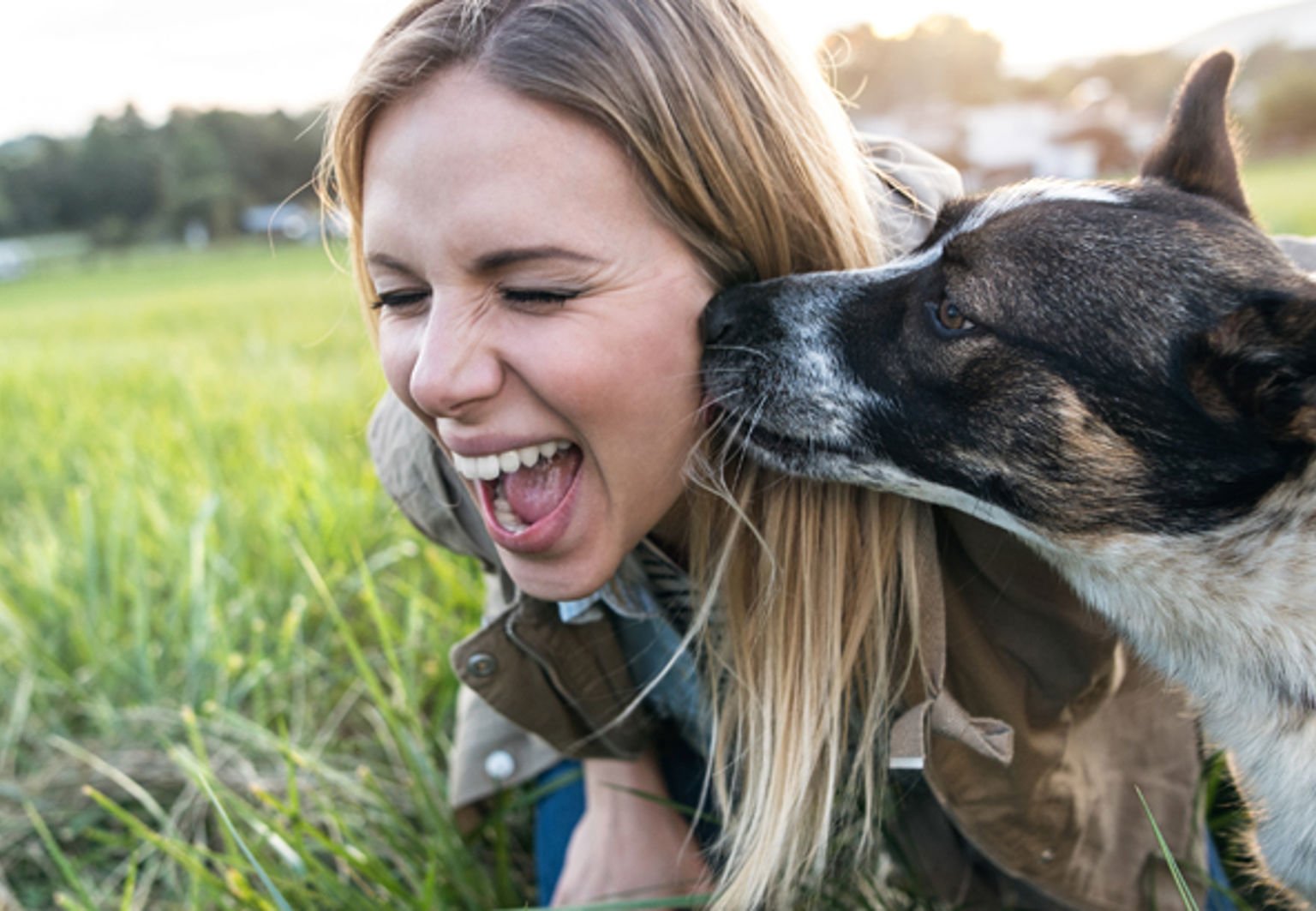 Hund nosar matte på kunden och hon skrattar