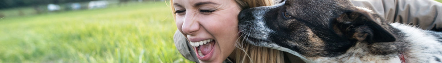 Hund nosar matte på kunden och hon skrattar