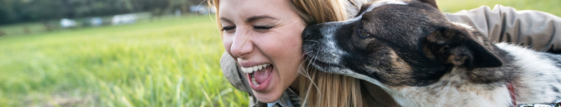 Hund nosar matte på kunden och hon skrattar