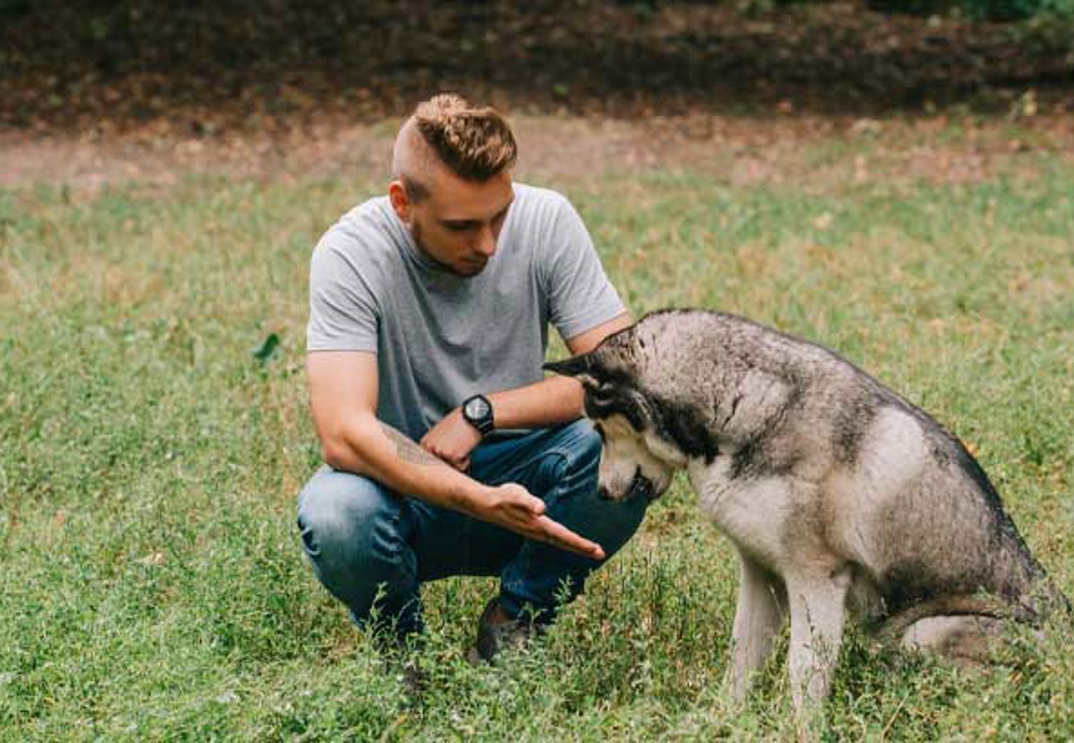 Husse och hund är ute och tränar på gräsmattan