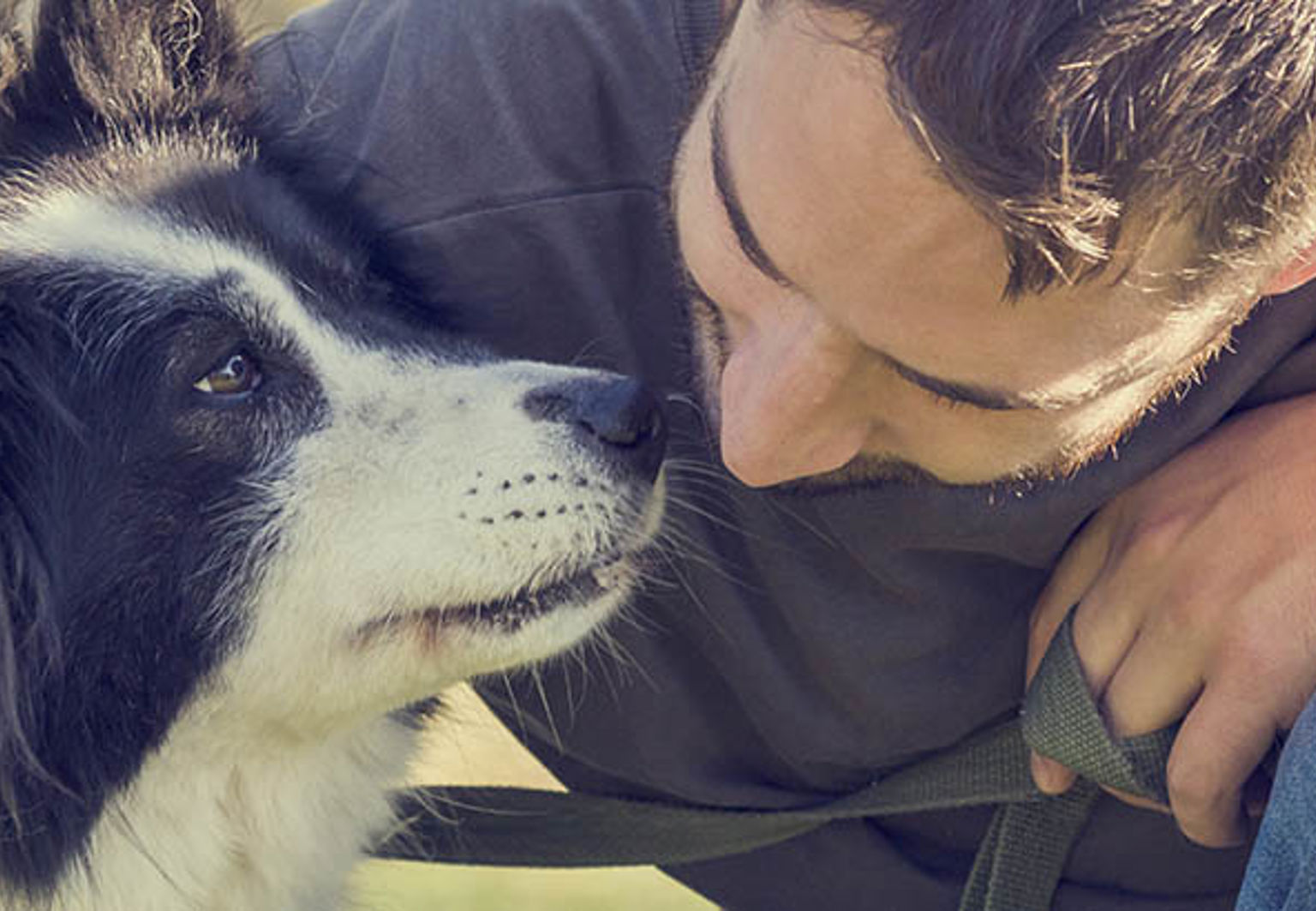 Husse håller om sin hund och har ögonkontakt