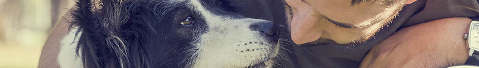 Husse håller om sin hund och har ögonkontakt