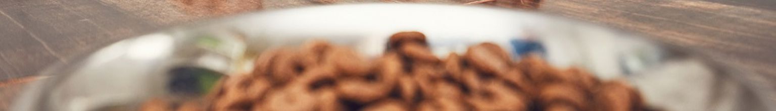 Närbild på hundfoder i en hundskål