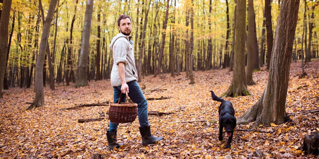ung man med svampkorg går i skogen med sin hund