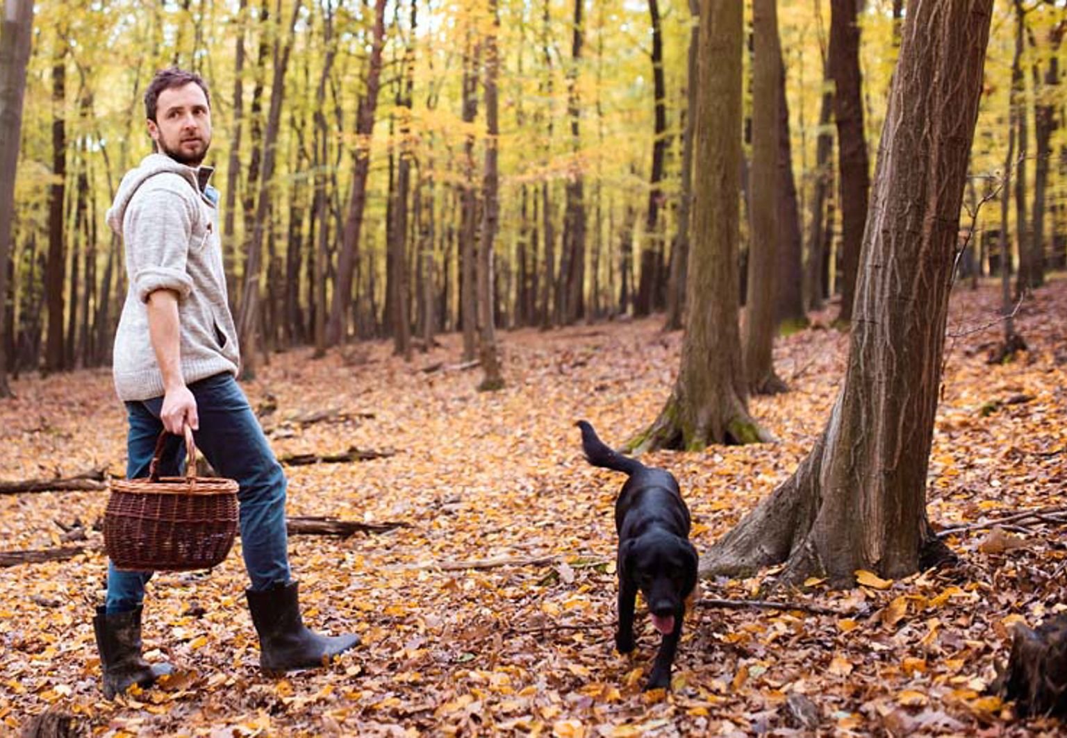 ung man med svampkorg går i skogen med sin hund