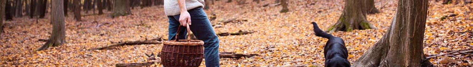 ung man med svampkorg går i skogen med sin hund