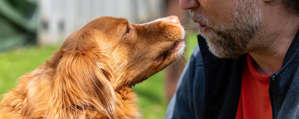 Hund och husse tittar på varandra