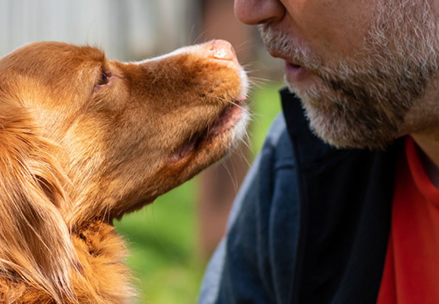 Hund och husse tittar på varandra