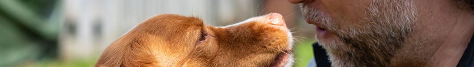 Hund och husse tittar på varandra