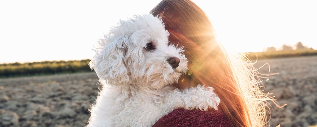Matte bär en hund i famnen ute i solen