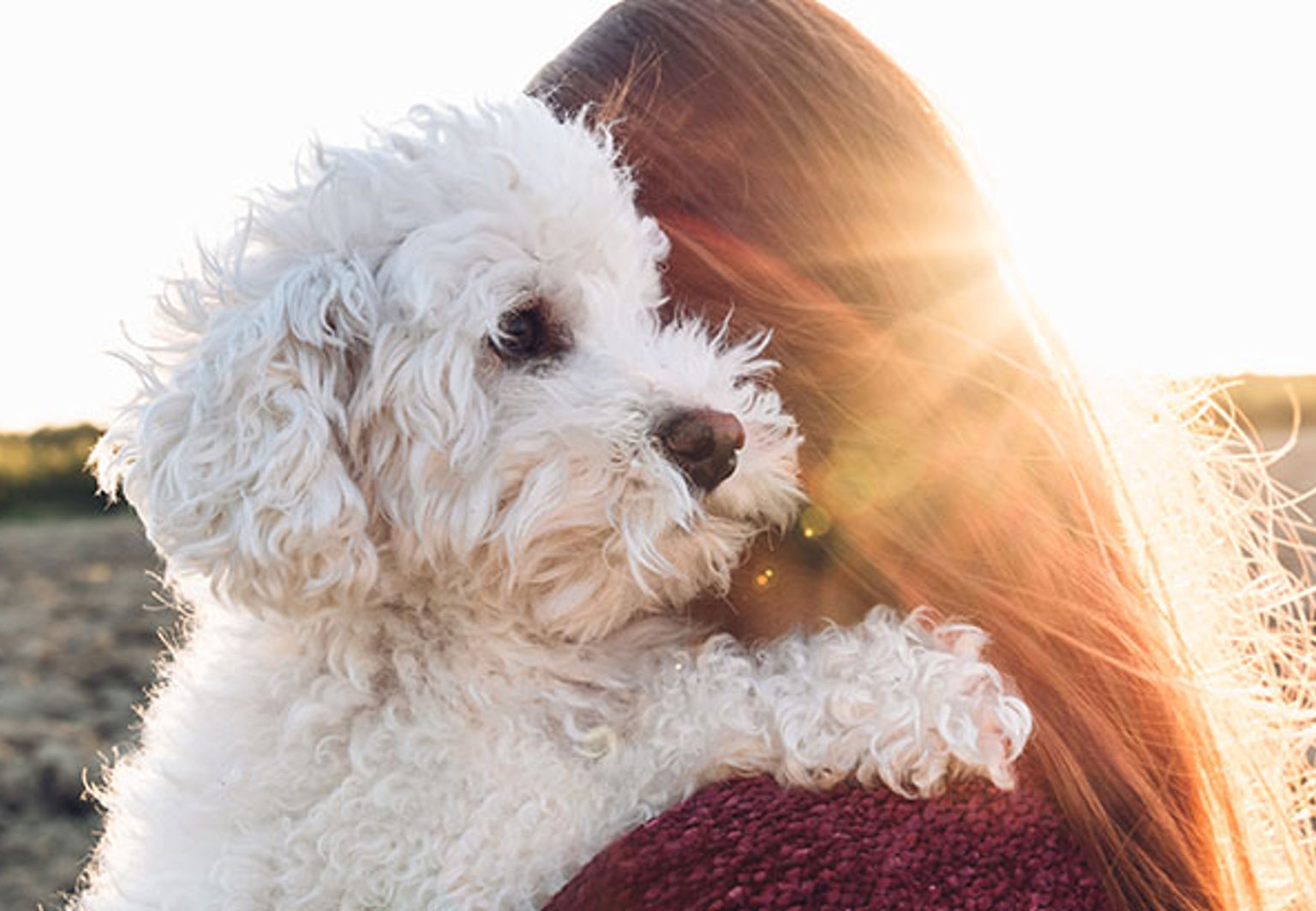 Matte bär en hund i famnen ute i solen