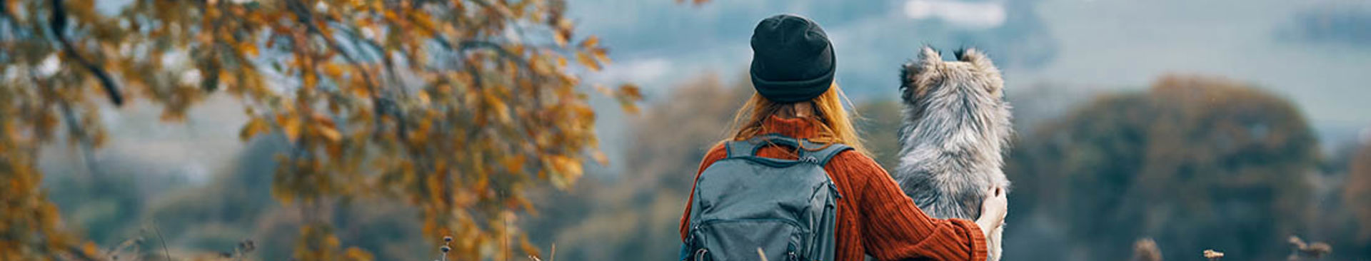 ung kvinna sitter tillsammans med sin hund i naturen