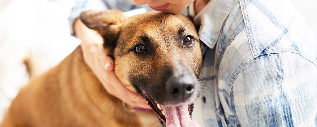 Matte kramar om sin hund