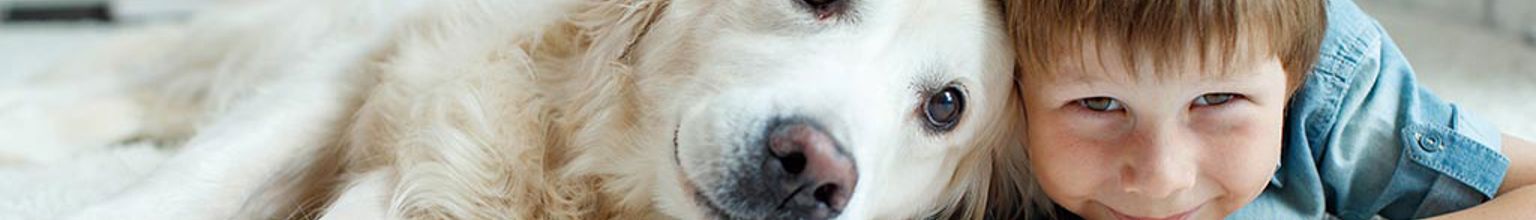 Nöjd pojke ligger på mage på golvet med en hund tätt intill.