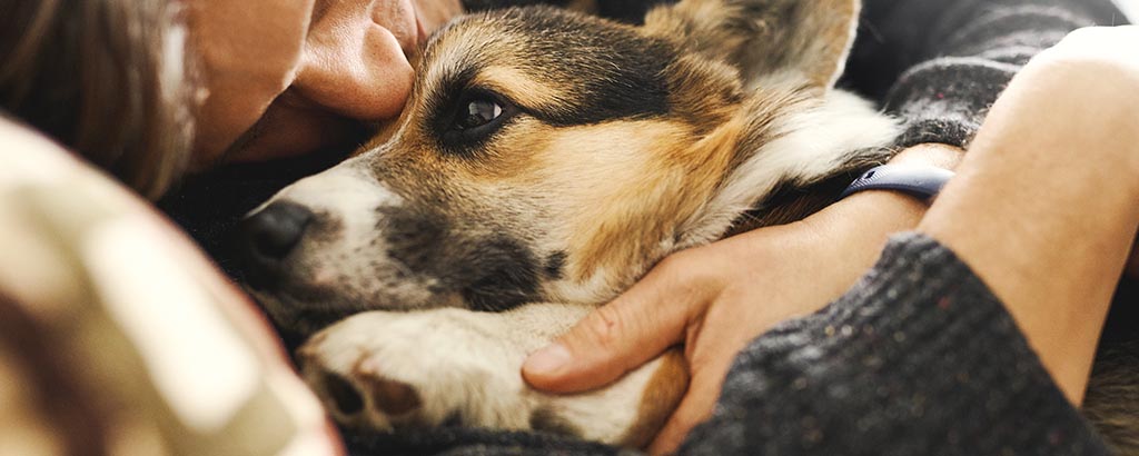 Husse kramas med sin hund