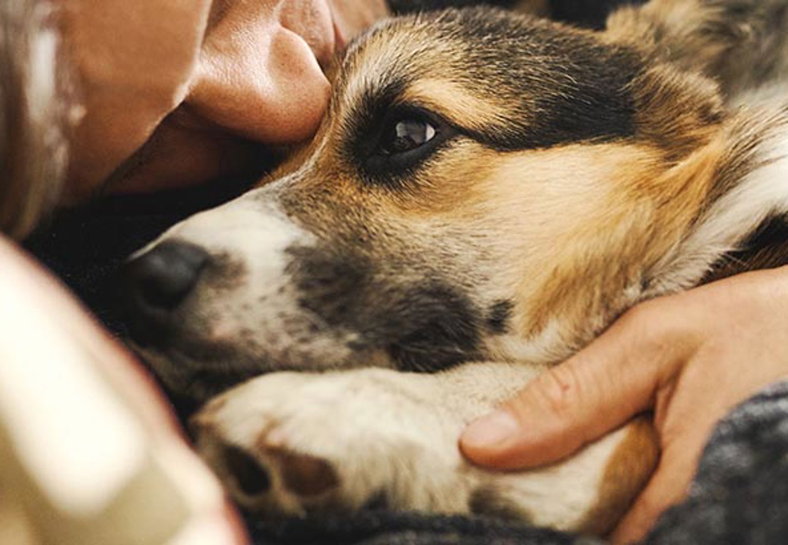 Husse kramas med sin hund