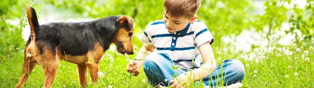 liten terrier tillsammans med en liten pojke ute på våren