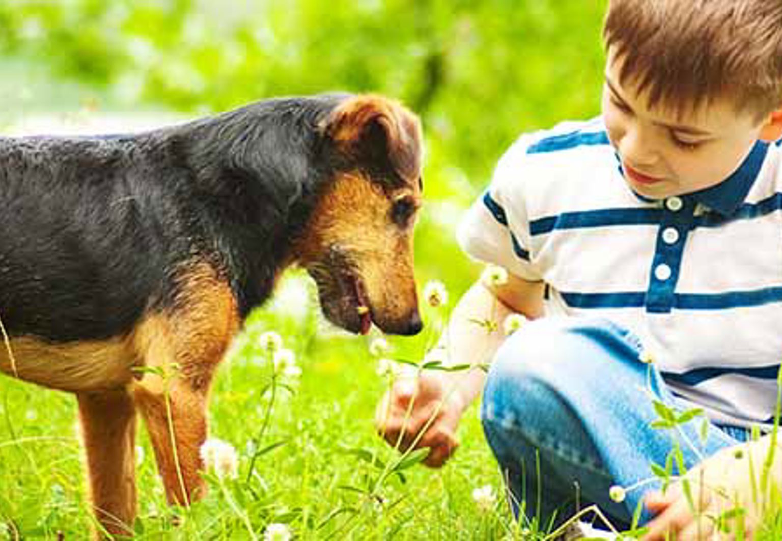 liten terrier tillsammans med en liten pojke ute på våren