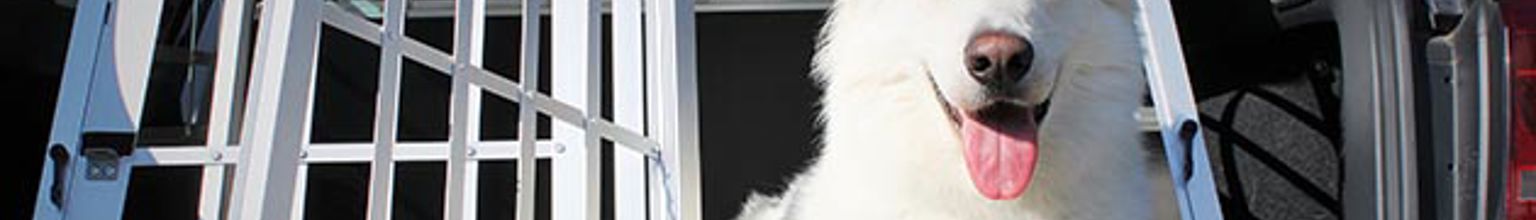 Hund ligger i en bilbur med öppen dörr i bagageutrymmet i en bil