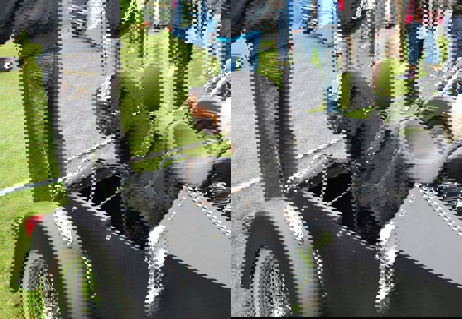 Hund sitter i en sidovagn på motorcykel