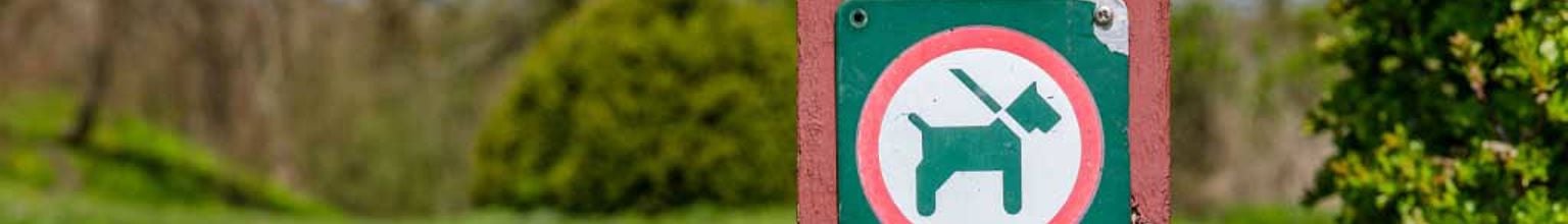 En skylt som visar koppeltvång för hund