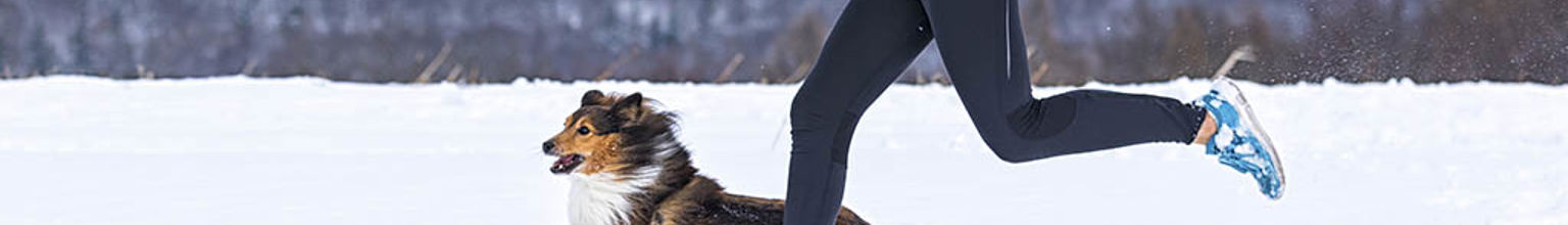 En hund av rasen collie är ute och löptränar med husse i snön