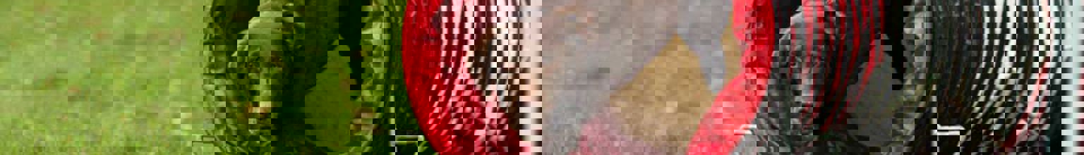 Hund springer igenom en agilitytunnel