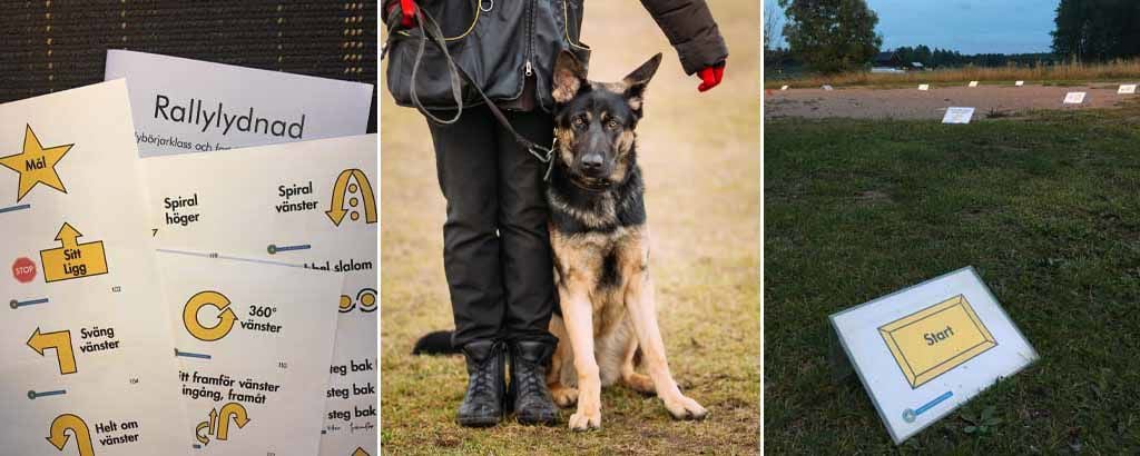 Bild på instruktioner och en schäfer som är kopplad