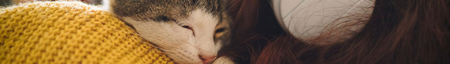 kvinna i gul tröja kelar med sin katt