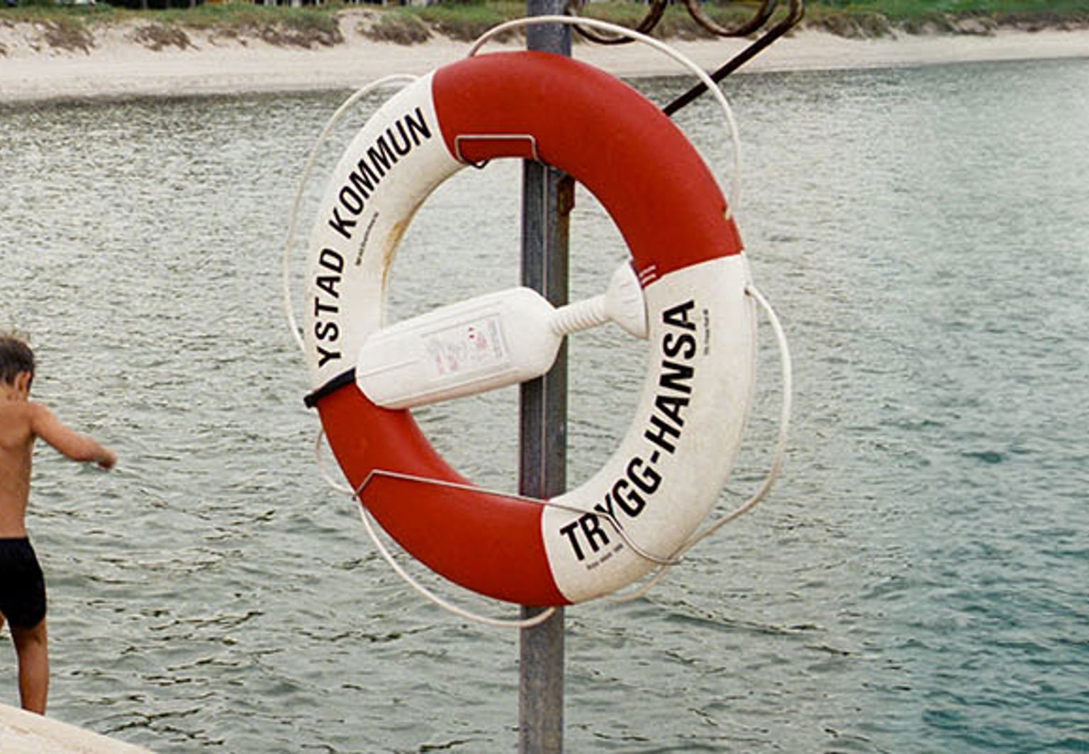 två pojkar och en hund vid en brygga och livboj