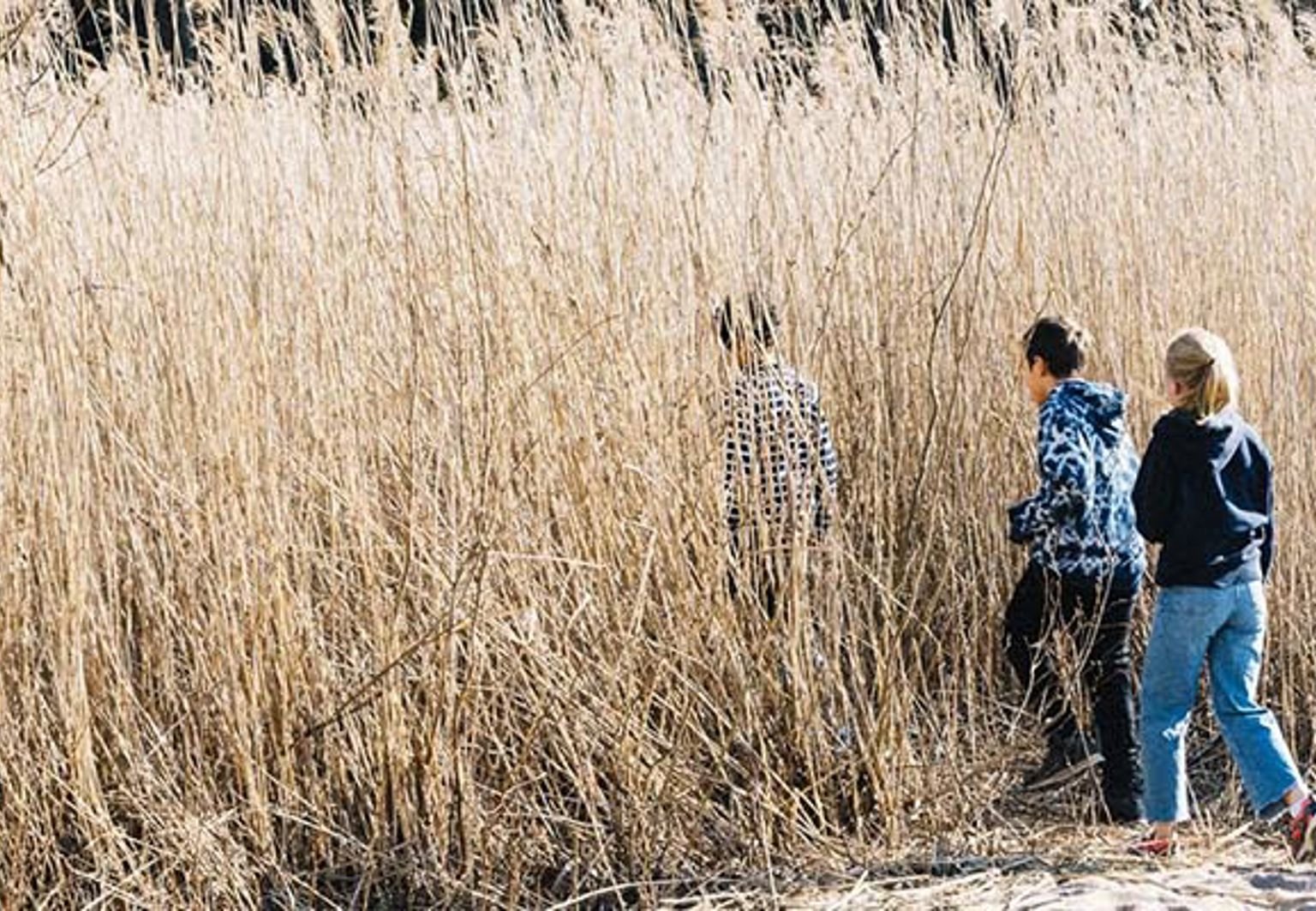 barn leker på en strand